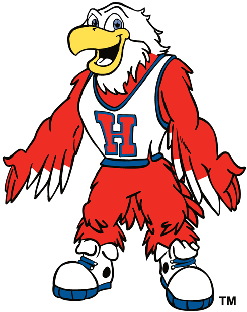 Hartford Hawks 1984-Pres Mascot Logo v2 iron on transfers for fabric
